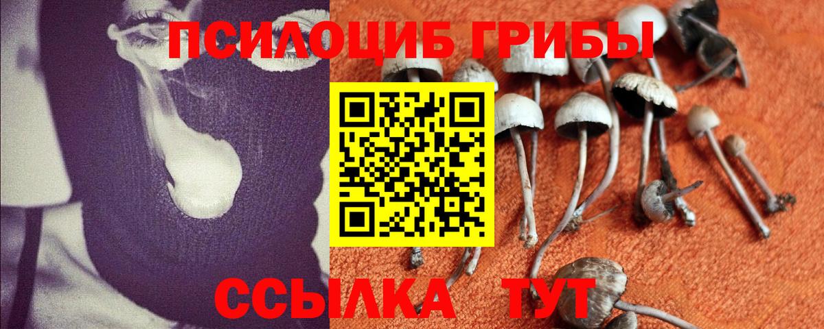 Первоуральск  Псилоцибиновые грибы мухоморы  Вход с VPN 